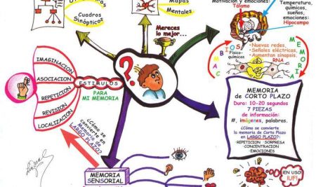 11 aplicaciones gratuitas para crear mapas mentales